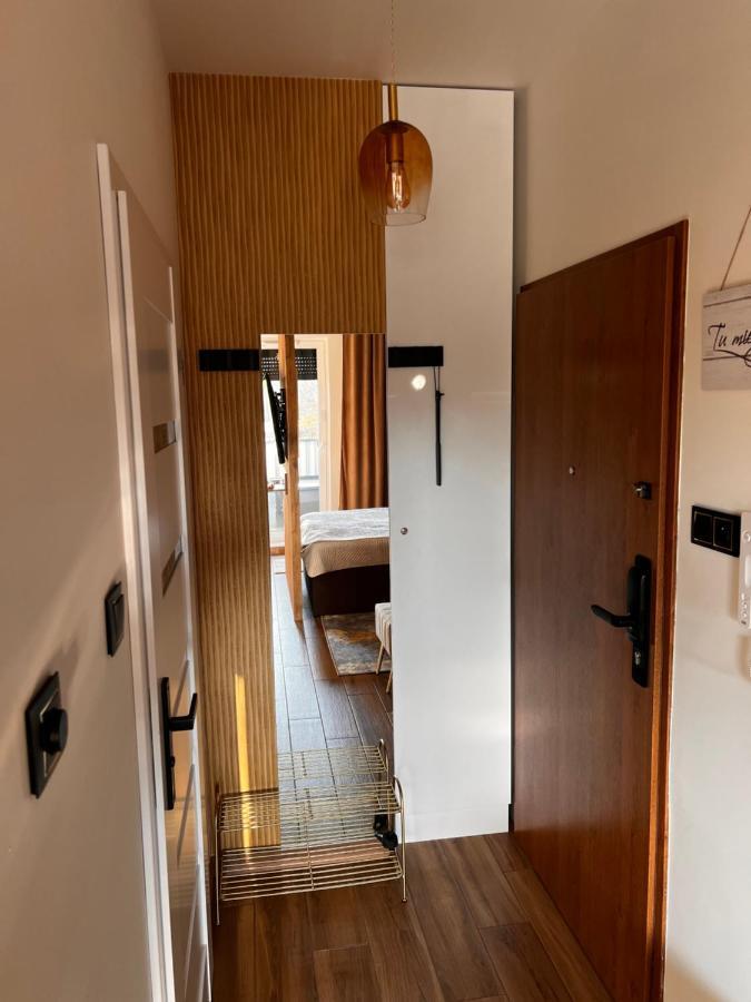 Butikowy Apartament Konin コニン エクステリア 写真
